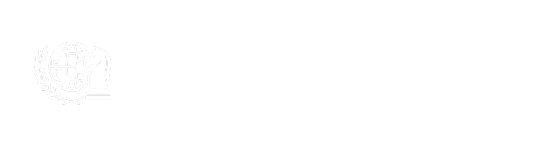 Strategic Diplomacy and Risk Institute